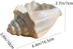 Ocean-Themed Cermaic Jewelry Tray,Ceramic Home Decor Jewelry Storage Plate for Jewelry,keys,watches and Accessories,Exquisite creative decorative Home Decor (Pearl-colored conch shell)