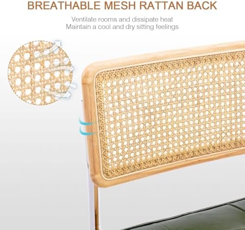 Zesthouse Natural Rattan Dining Chairs Set of 2, Modern Cesca Kitchen Chair