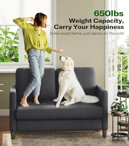 Welzona Loveseat, 51" Small Couch, Teddy Love Seat, Small Loveseat Sofa ...