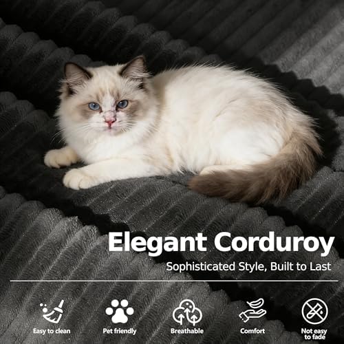MoonSpeak 78.8'' Futon Sofa Bed, Couches for Living Room | Corduroy C...