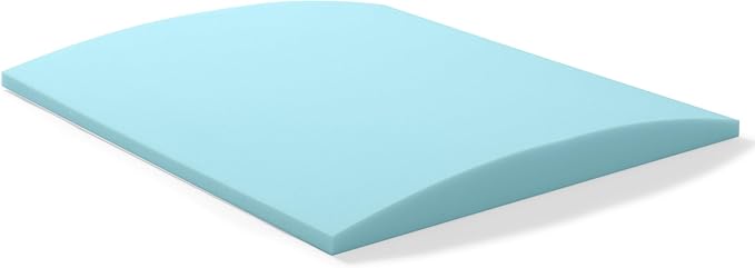 Tromlycs Couch Cushion Support for Sagging Cushions Sofa Seat Support Under Arched Foam Sag Repair 24x24 inch Blue, Set of 2
