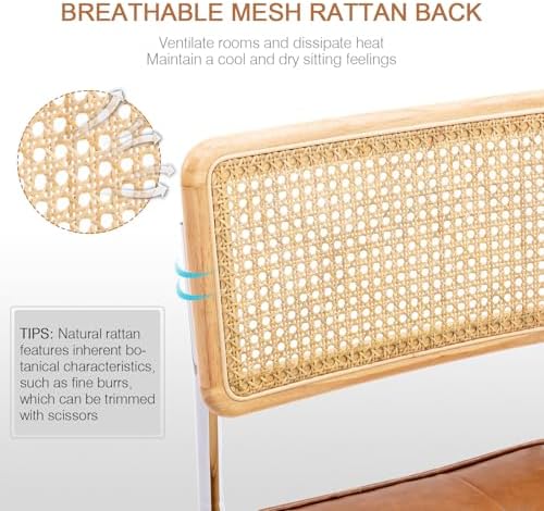 Zesthouse Natural Rattan Dining Chairs Set of 4, Modern Cesca Kitchen Chair