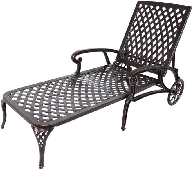 Saiveina Aluminium Cast Lounge Chair 1pcs Brown