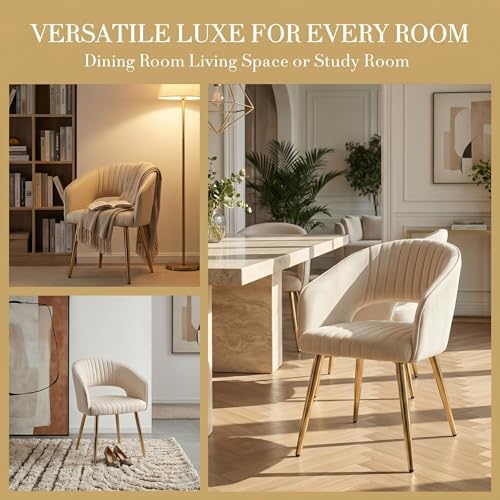 Modern Dining Chairs Set of 2, Upholstered PU Leather Dining Room Chairs with...