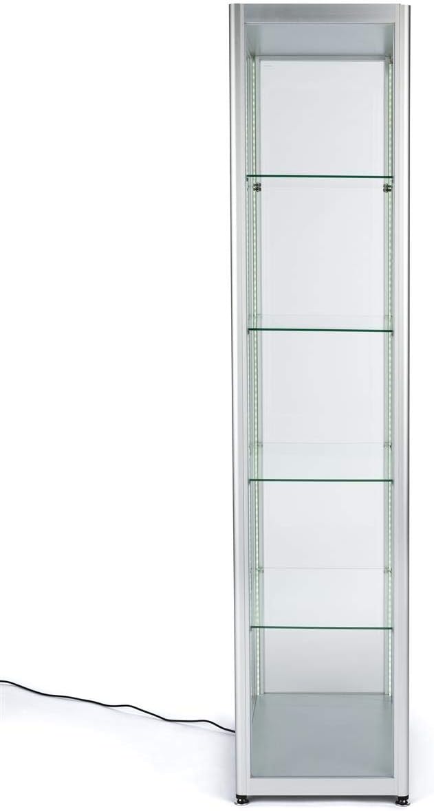 Displays2go Locking Glass Display Case, Illuminated, Silver