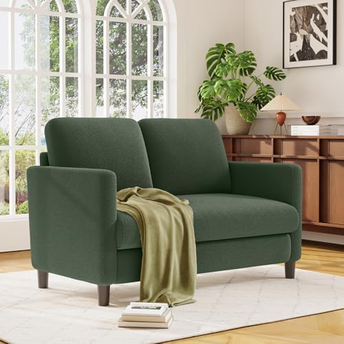 Welzona Loveseat, 51" Small Couch, Teddy Love Seat, Small Loveseat Sofa ...