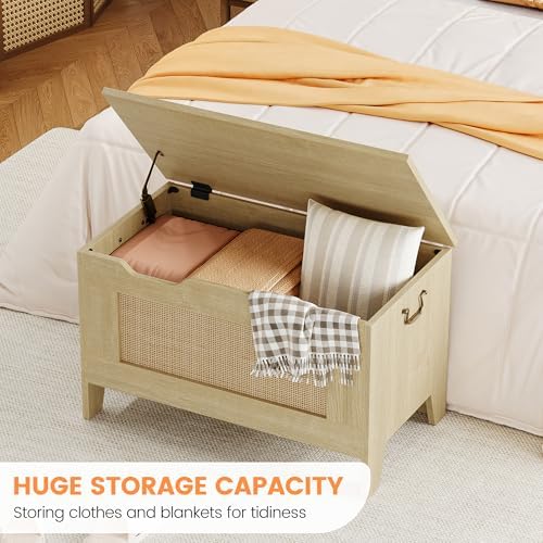 IDEALHOSUE 30” Storage Chest, Wooden Storage Bench with Safety Hinge, Retro B...