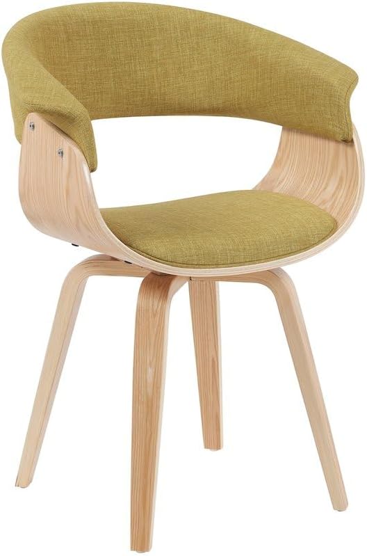 Armen Living Summer Mid-Century Upholstered Dining Chair in Green and Pattern...