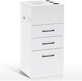 BarberPub Salon Storage Cabinet Beauty Locker Hair Dryer Holder Stylist Spa Equipment with Drawer 2035 (White)