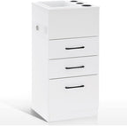 BarberPub Salon Storage Cabinet Beauty Locker Hair Dryer Holder Stylist Spa Equipment with Drawer 2035 (White)