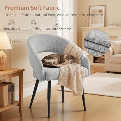 LUE BONA Modern Dining Chairs Set of 4, Light Grey