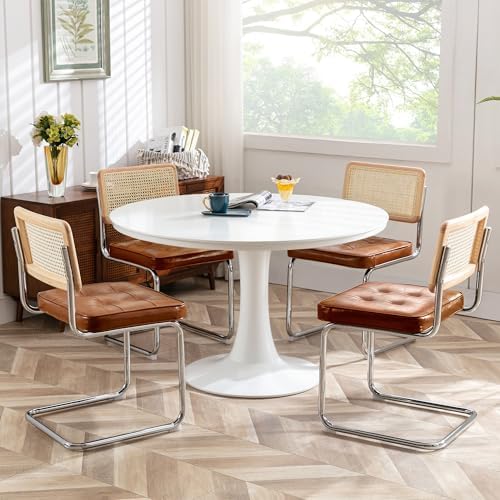 Zesthouse Natural Rattan Dining Chairs Set of 6, Modern Cesca Kitchen Chair