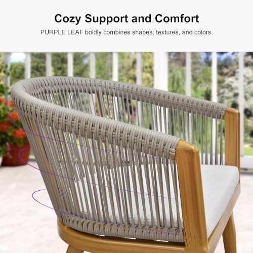 PURPLE LEAF Outdoor Dining Set for 10 with Cushions PE Rattan Teak