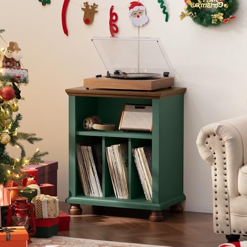 Joaxswe 24" Wide Record Player Stand with Vinyl Record Storage, Green | ...