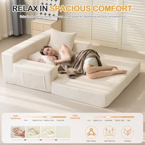 Erament Convertible Sofa Bed, Loveseat Folding Floor Futon Sleeper Sofa Couch...