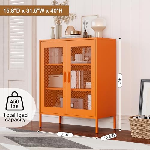 Chshin Metal Locker Storage Cabinet with 2 Mesh Doors and Adjustable Shelves,...