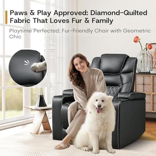 ANJ Power Home Theater Recliner Chair Set of 2, Electric Movie Theater Seatin...