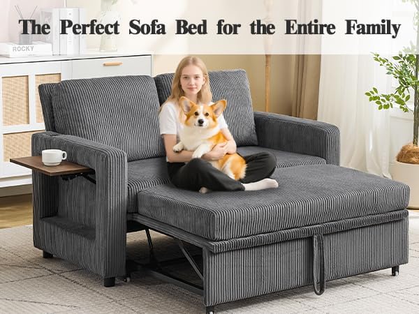 3 in 1 Convertible Sofa Bed, Pull Out Couch with Dual USB and Type C Ports, C...