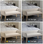 Madison Park Accent Bench for Living Room, Upholstered with Nailhead Trim, & Padded Seat Entryway Bench Small, End of Bed Bench with Back, 49.5" W x 19.25" D x 23" H, Taupe Multi