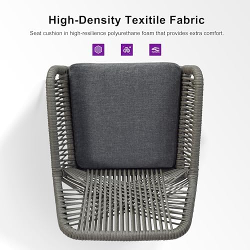 PURPLE LEAF 24" Bar Stools Set of 2 Comfortable Seat Cushion, Smoke Grey