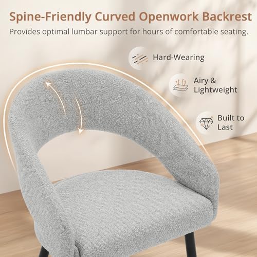 LUE BONA Modern Dining Chairs Set of 4, Light Grey