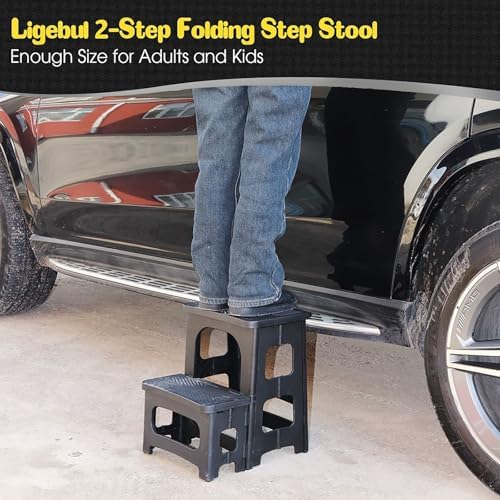 2 Step Stool Foldable for Adults, Plastic Folding Step Stool, Black