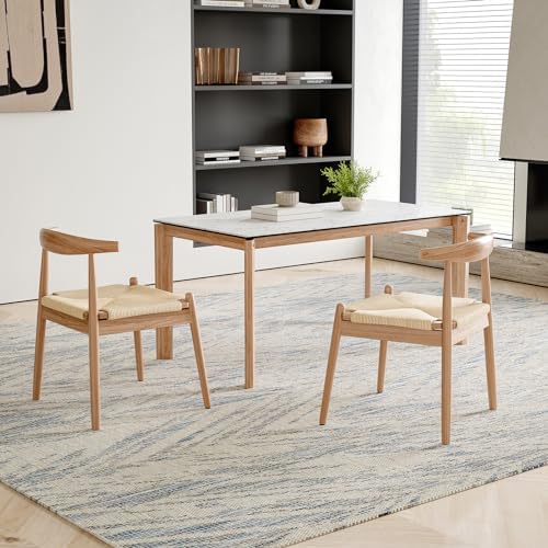 Soohow Dining Chairs Set of 2, Mid Century Modern Kitchen & Dining Room C...