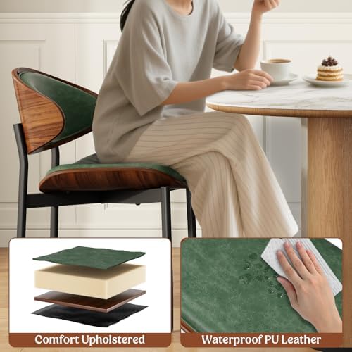 REONEY Dining Chairs Set of 4, Mid-Century Modern Kitchen Chairs, Green