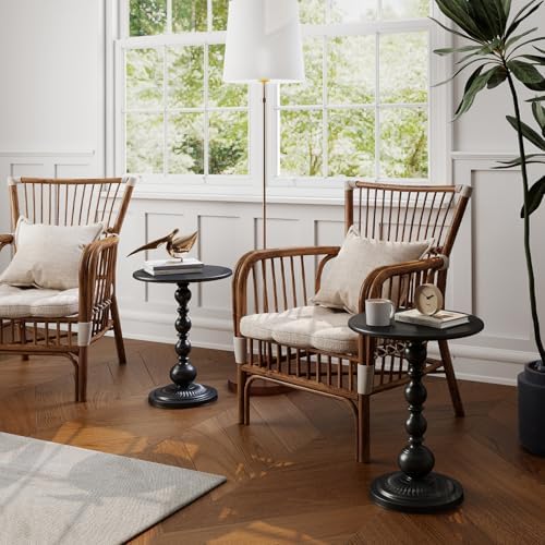 Metal Small End Table,Round Side Table for Living Room,Black,13.8" Lx20.5”H
