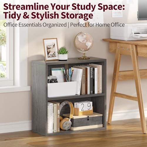 ALISENED 2 Tier Open Shelf Bookcase, Small Bookshelf with Storage