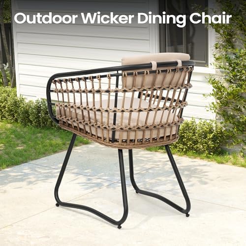Pellebant 9 Piece Outdoor Dining Set for 8, Aluminum Table & Wicker Chairs