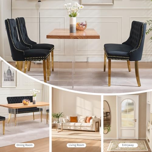 Black Velvet Dining Bench with Back, Tufted Banquette Seating, Gold Legs | Up...