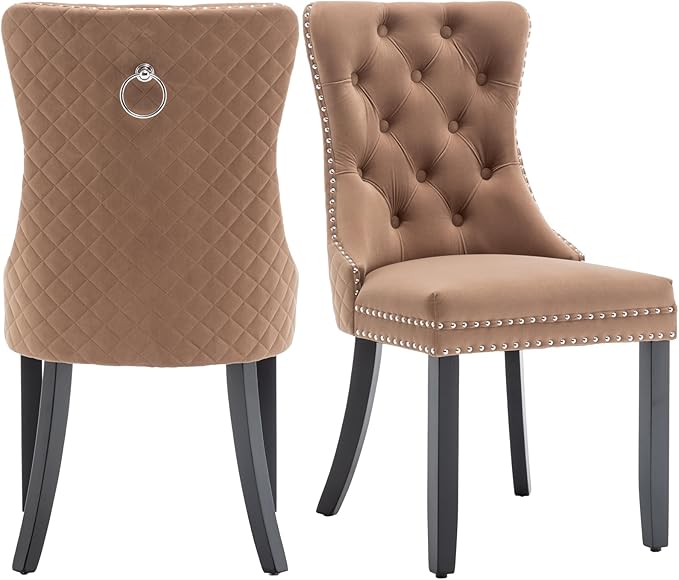 Velvet Dining Chairs Set of 2, Upholstered Dining Room Chairs with Nailhead T...