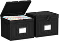 Oterri Plastic File Box with Lid for Letter Size File Folders, Hanging File Folder Box Collapsible File Organizer, File Cabinet Document Organization Home, Office (Black, Large-2 Pack Without Folders)