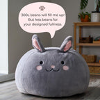 Furry Bean Bag Cover, Faux Fur Bean Bag Chair Cover for Kids, Teens and Adults 32x32x18in (Fluffy Bunny)