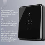 Home Safe, Fingerprint Password Safe Box with Key, Cabinets SafeBox for Home, Security Box, Biometric Safe, W-series 2.1Cubic feet