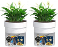 Sdstone Fireresistant Waterproof Flower Pot Diversion Safe with key Locks,Stainless Steel Secret Hidden Safe,Perfect for Hiding The Valuables Inside (Black) Plants Not Include 2pack