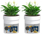 Sdstone Fireresistant Waterproof Flower Pot Diversion Safe with key Locks,Stainless Steel Secret Hidden Safe,Perfect for Hiding The Valuables Inside (Black) Plants Not Include 2pack