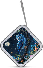 One Enchanted Night Owl CD DVD Case Holder, 40 Disc Storage Wallet with Exclusive Printed Design, Zipper Closure And Handle for Music Movies Games Travel Car