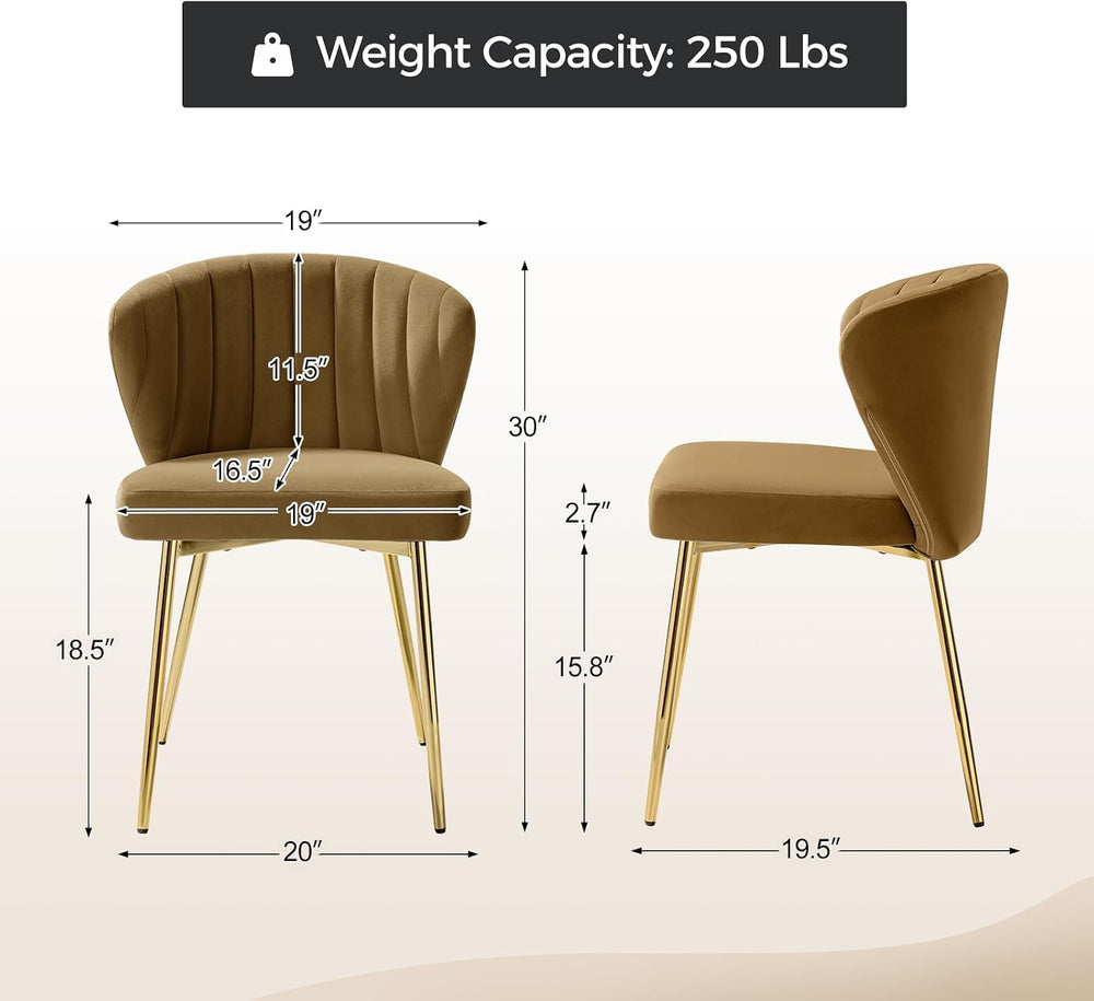 TINA'S HOME Velvet Dining Chairs Set of 2, Modern Upholstered Side Chair ...