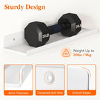 Lifewit Floating Shelves for Wall, 10 Pack White Acrylic Shelf 15" Room Decor for Bookcase/Vinyl Record Display/Photo/Picture in Bedroom, Living Room, Bathroom, Kitchen Storage and Organization