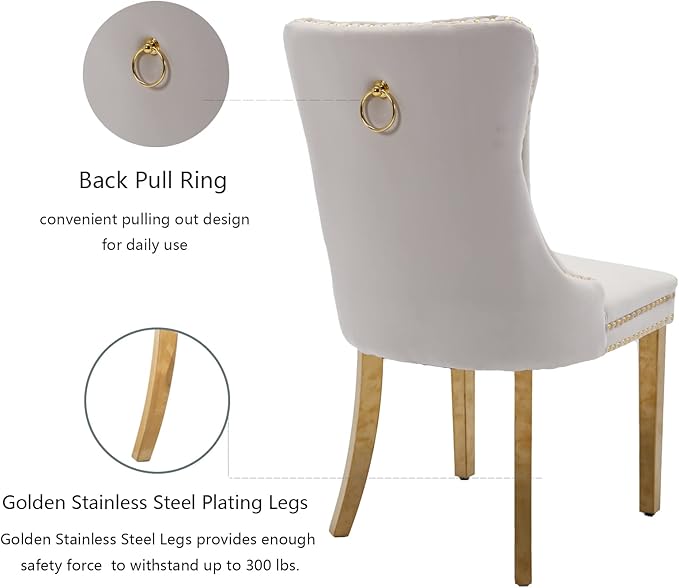 Beige Velvet Dining Chairs Set of 6, Upholstered Dining Room Chairs with Back Ring Pull Trim and Golden Stainless Steel Legs,Modern Kitchen Chairs for Dining Room,Living Room,Kitchen(Beige)