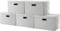 PRANDOM Large Collapsible Storage Containers with Lids [5-Pack] Fabric Foldable Storage Bins Boxes Organizer Baskets Cube with Cover for Home Bedroom Closet Office Beige(17.3x11.8x11.8)