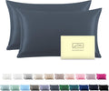 Silk Pillow Cases 2 Pack Soft Breathable and Sliky Queen Size Pillow Cases Set of 2,Natural Mulberry Satin Silk Pillowcase with Hidden Zipper for Hair and Skin (Space Grey,20"X 30",2pcs)