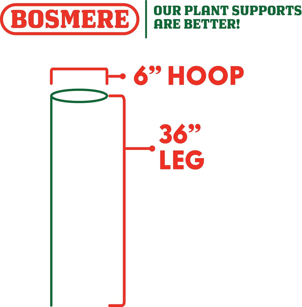 Bosmere E533 36-Inch Plant Stem Support with 6-Inch Hoop, 3-Pack