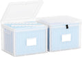 Oterri Plastic File Box with Lid for Letter Size File Folders, Hanging File Folder Box Collapsible File Organizer, File Cabinet Document Organization Home, Office (Clear, Large-2 Pack Without Folders)