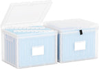 Oterri Plastic File Box with Lid for Letter Size File Folders, Hanging File Folder Box Collapsible File Organizer, File Cabinet Document Organization Home, Office (Clear, Large-2 Pack Without Folders)