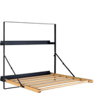TOMACE Wall Mounted Clothes Drying Rack Laundry Drying Rack Collapsible