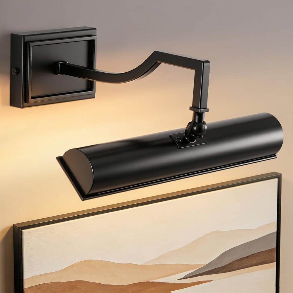 ADISUN 12 Inch Black Picture Light, Picture Lights for Wall with 270° Adjusta...