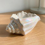 Ocean-Themed Cermaic Jewelry Tray,Ceramic Home Decor Jewelry Storage Plate for Jewelry,keys,watches and Accessories,Exquisite creative decorative Home Decor (Pearl-colored conch shell)